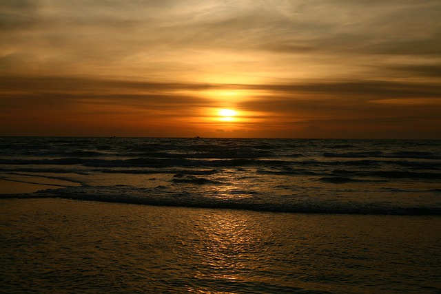 sunset, seascape, palms