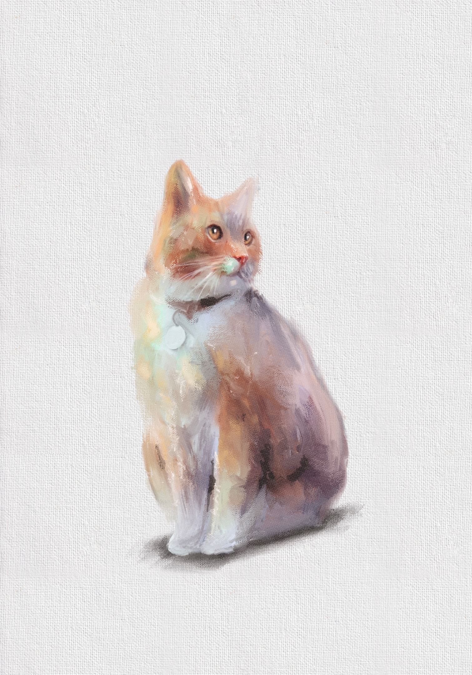 A detailed close-up of a pet portrait capturing fur texture.