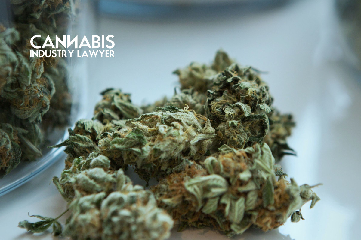 Dispensary shift