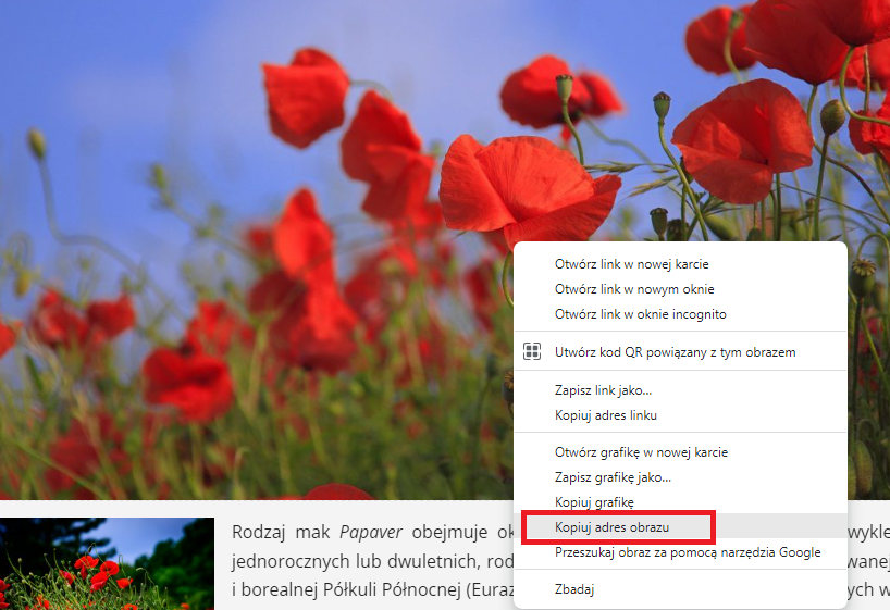 Zrzut ekranu przedstawiajacy sposób kopiowania adresu do obrazka w przeglądarce Google Chrome.
