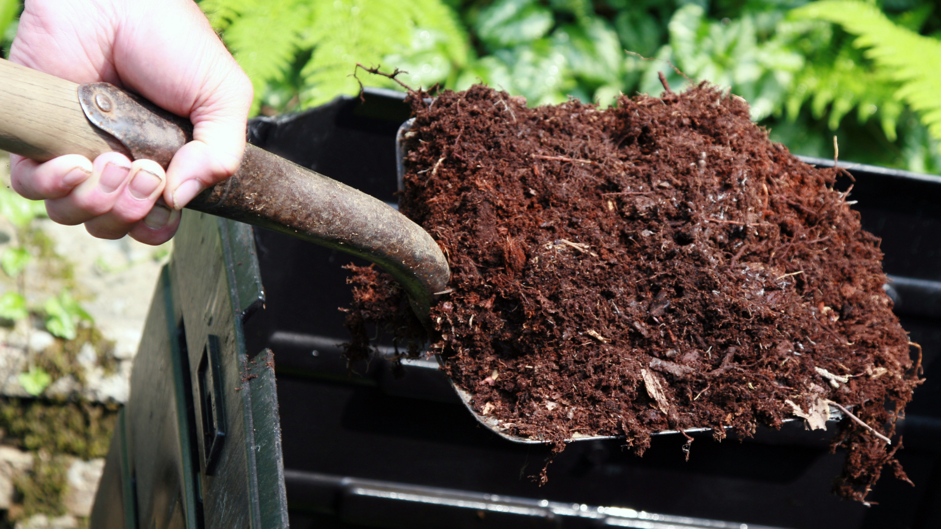 A fresh layer of compost being added to vegetable gardens. 