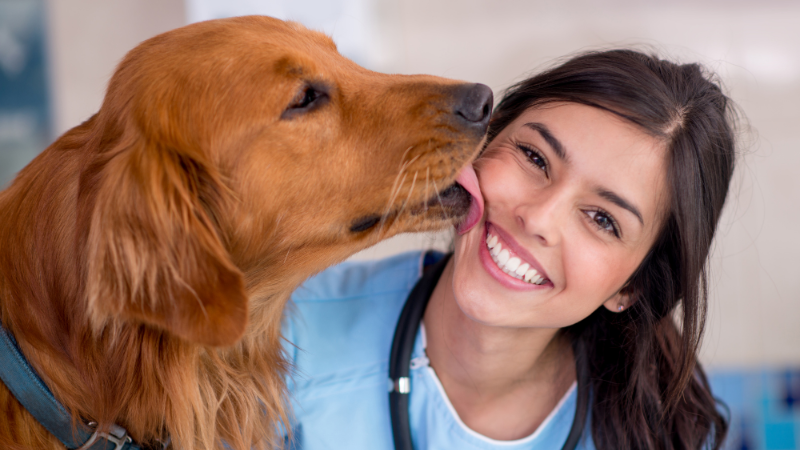 812004d7 54a9 43e7 84c2 dad26f25607d Investigating the Canine Quirk: Why Does My Dog Lick Everything?