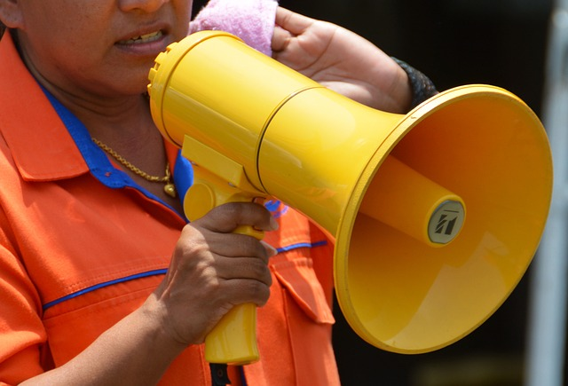 megaphone, loud hailer, loud-hailer