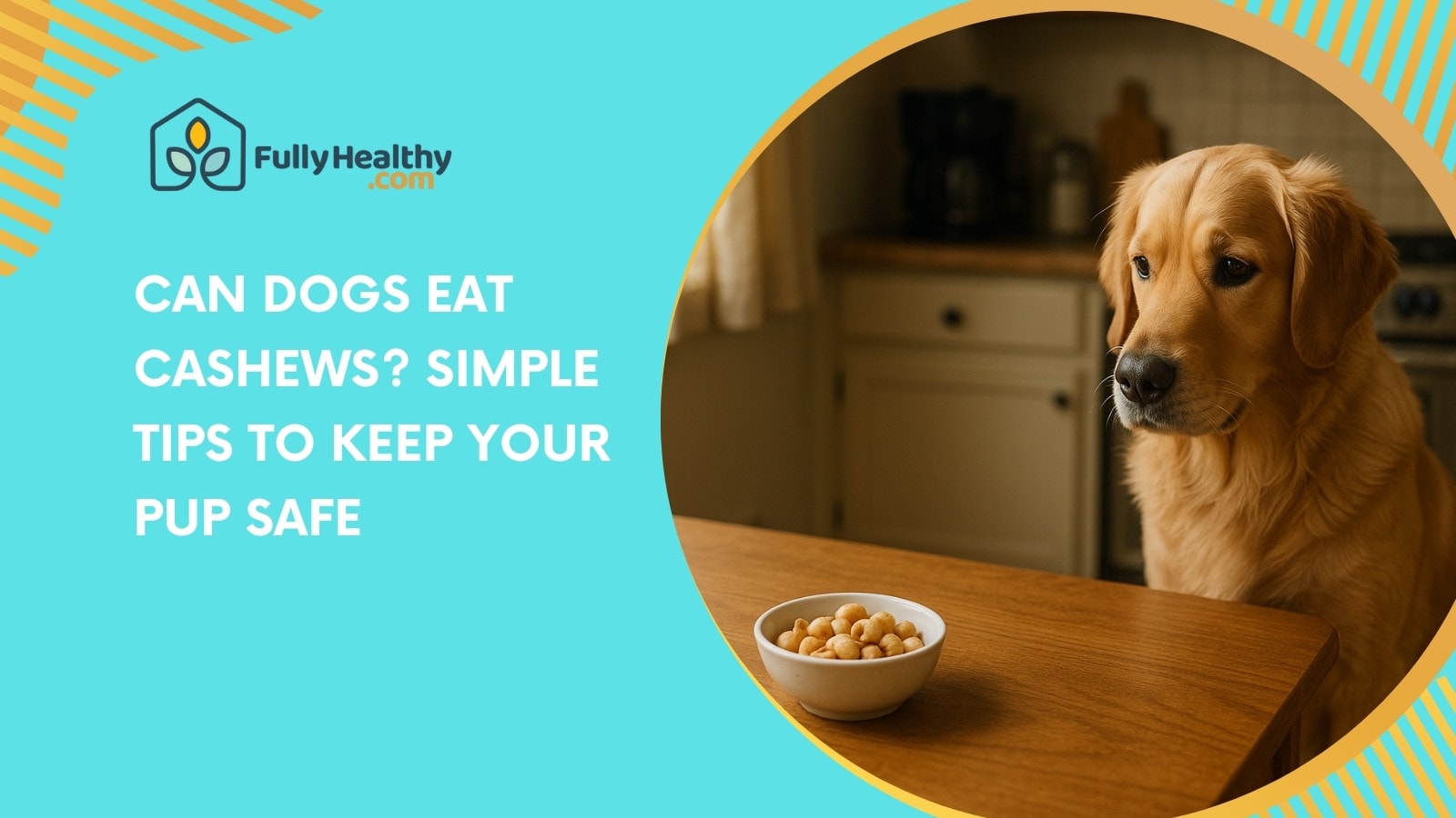 Can Dogs Eat Cashews? Simple Tips to Keep Your Pup Safe