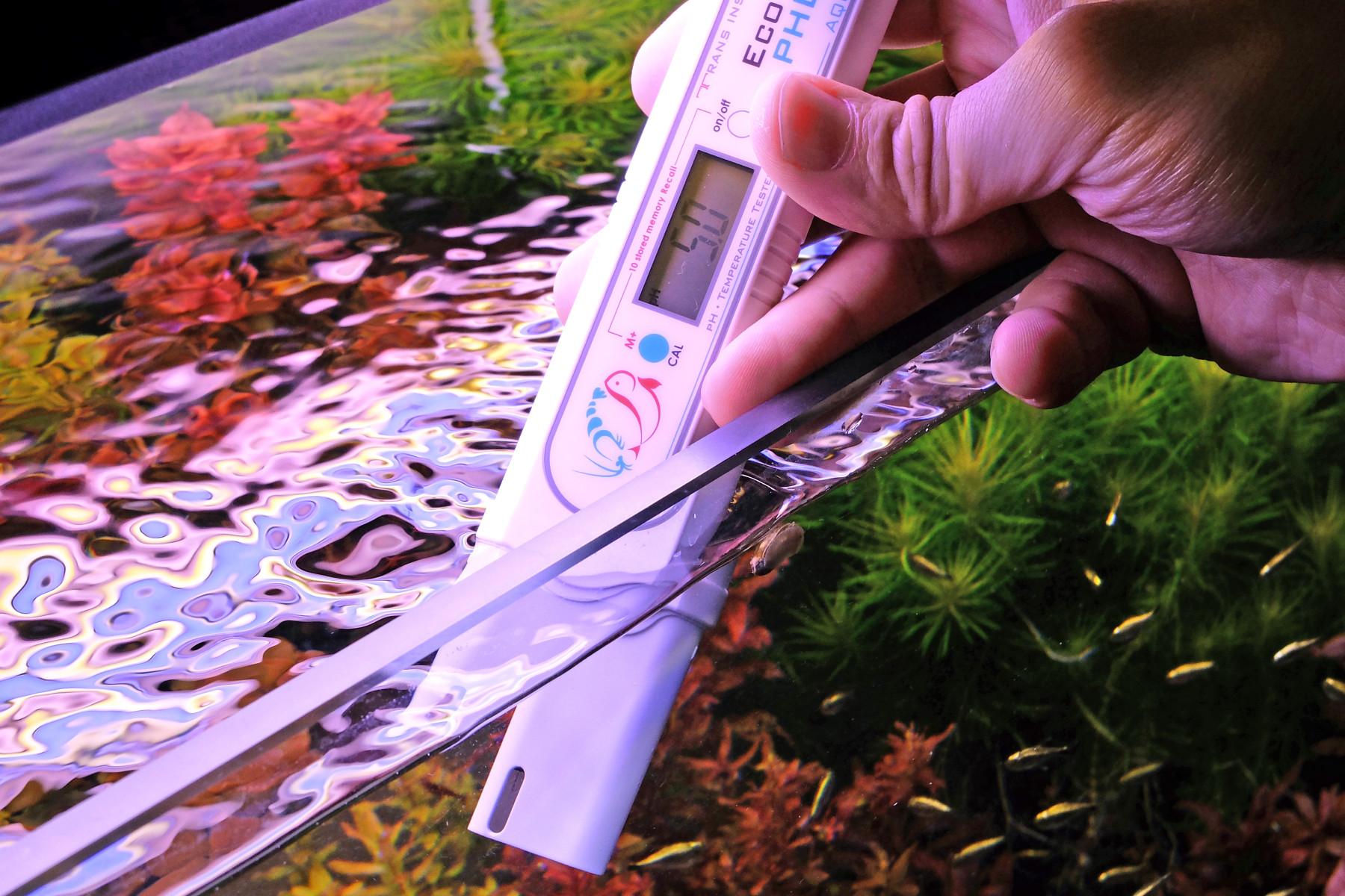 Measuring pH in a freshwater aquarium using a handheld electronic device
