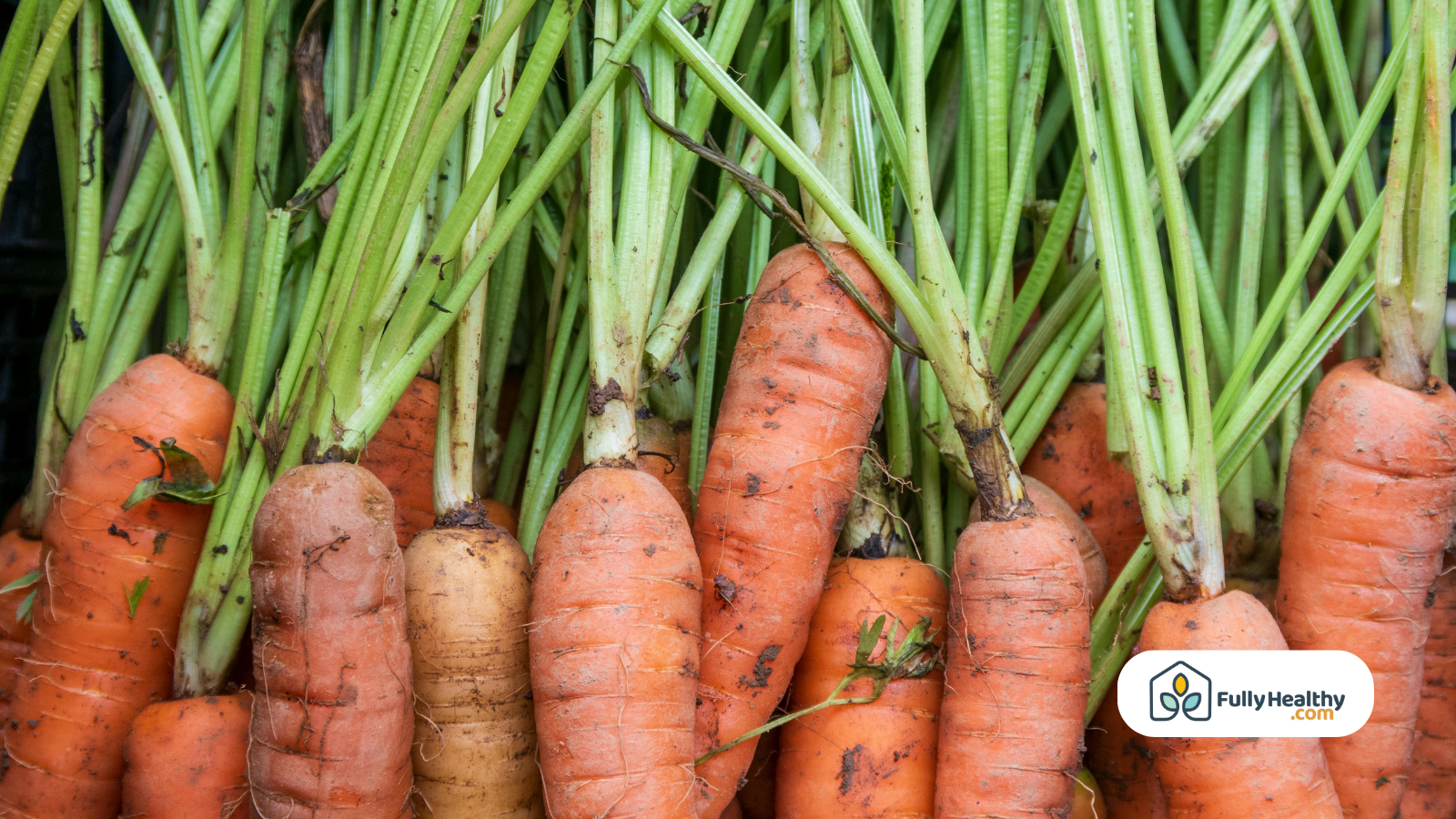 close-up of farm fresh carrots can you freeze carrots