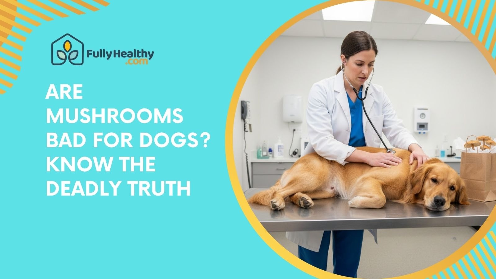 Are Mushrooms Bad for Dogs? Know the Deadly Truth