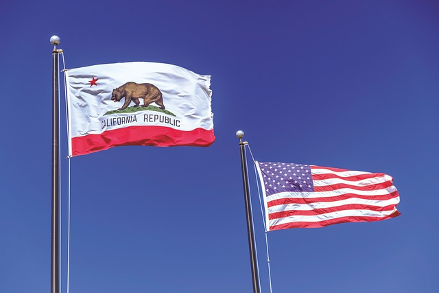 flag, california, republic of california