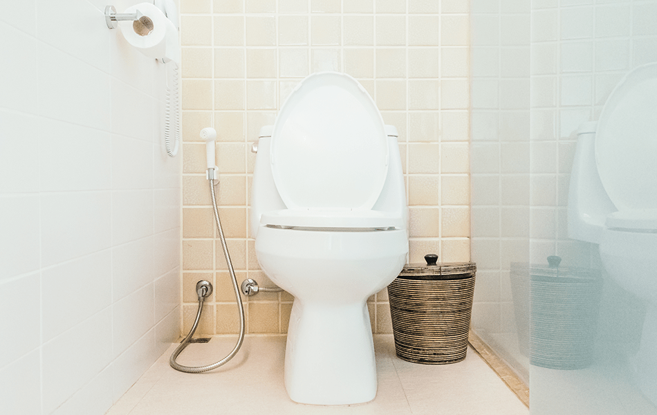 Maintaining Your Bidet