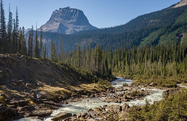 USA Family Holidays: National Parks Adventures