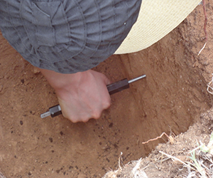Pocket penetrometer being pushed into the soil