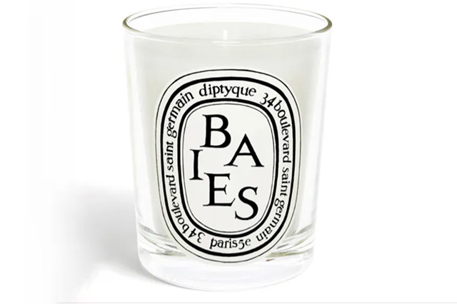 diptyque baies scented candle