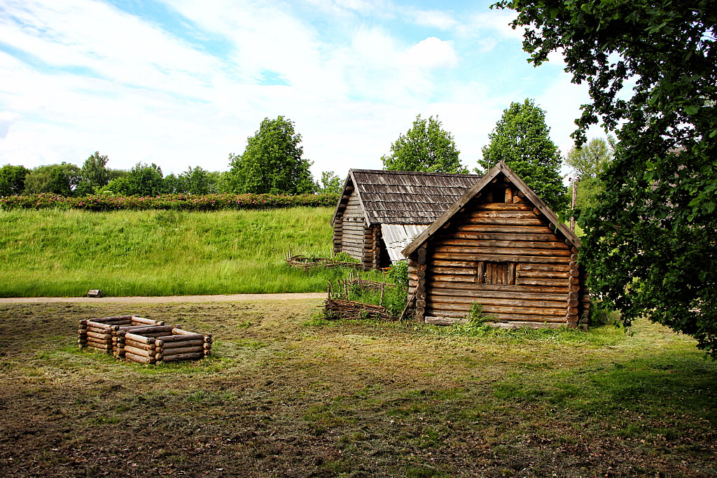 Rezerwat Archeologiczny w Kaliszu-Zawodziu (źródło: https://commons.wikimedia.org/wiki/File:Kalisz_Zawodzie_05.jpg)