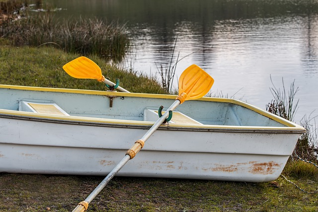 rowing boat, rowboat oars. 