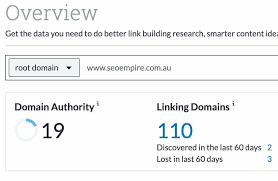 Ecco i 13 Migliori Consigli SEO per Ristoranti in Italia nel 2023 12 Esempio di una schermata con metriche legate alla link building