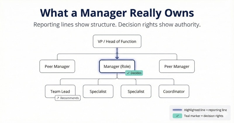 Managerial position signals: reporting lines and decision rights