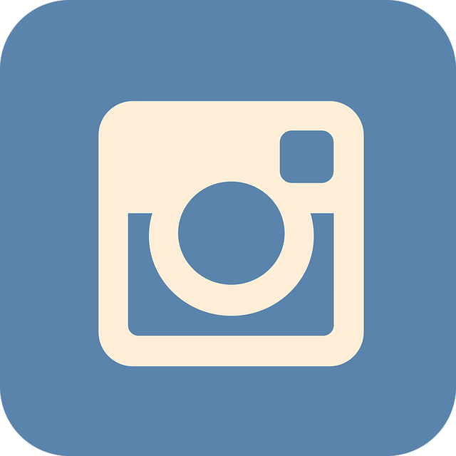 instagram, social media, icon