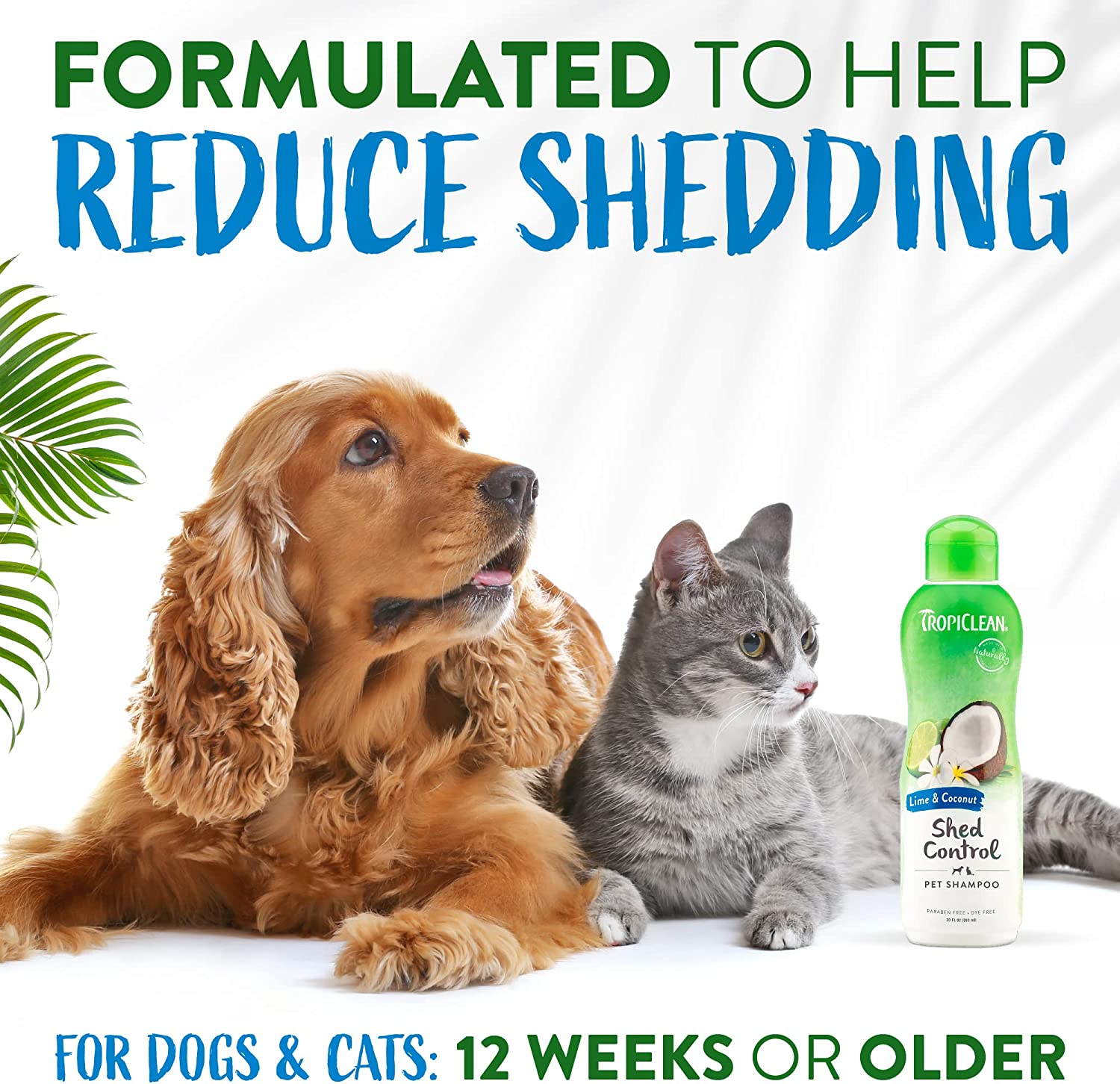 Best Deshedding Shampoos for Dogs