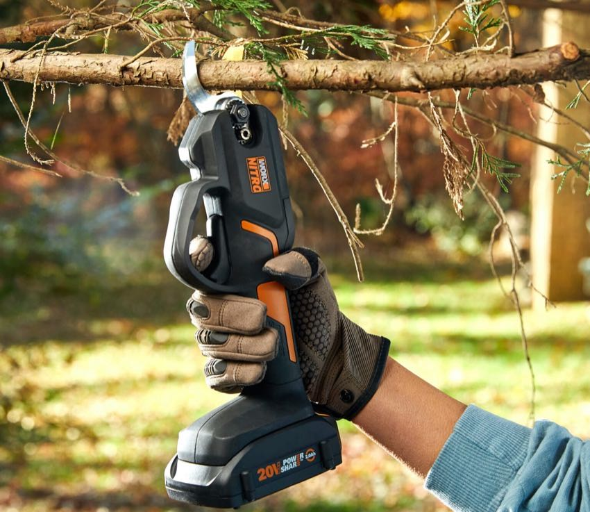 Best Cordless Pruning Shears in Every Gardener's Toolbox - Archute