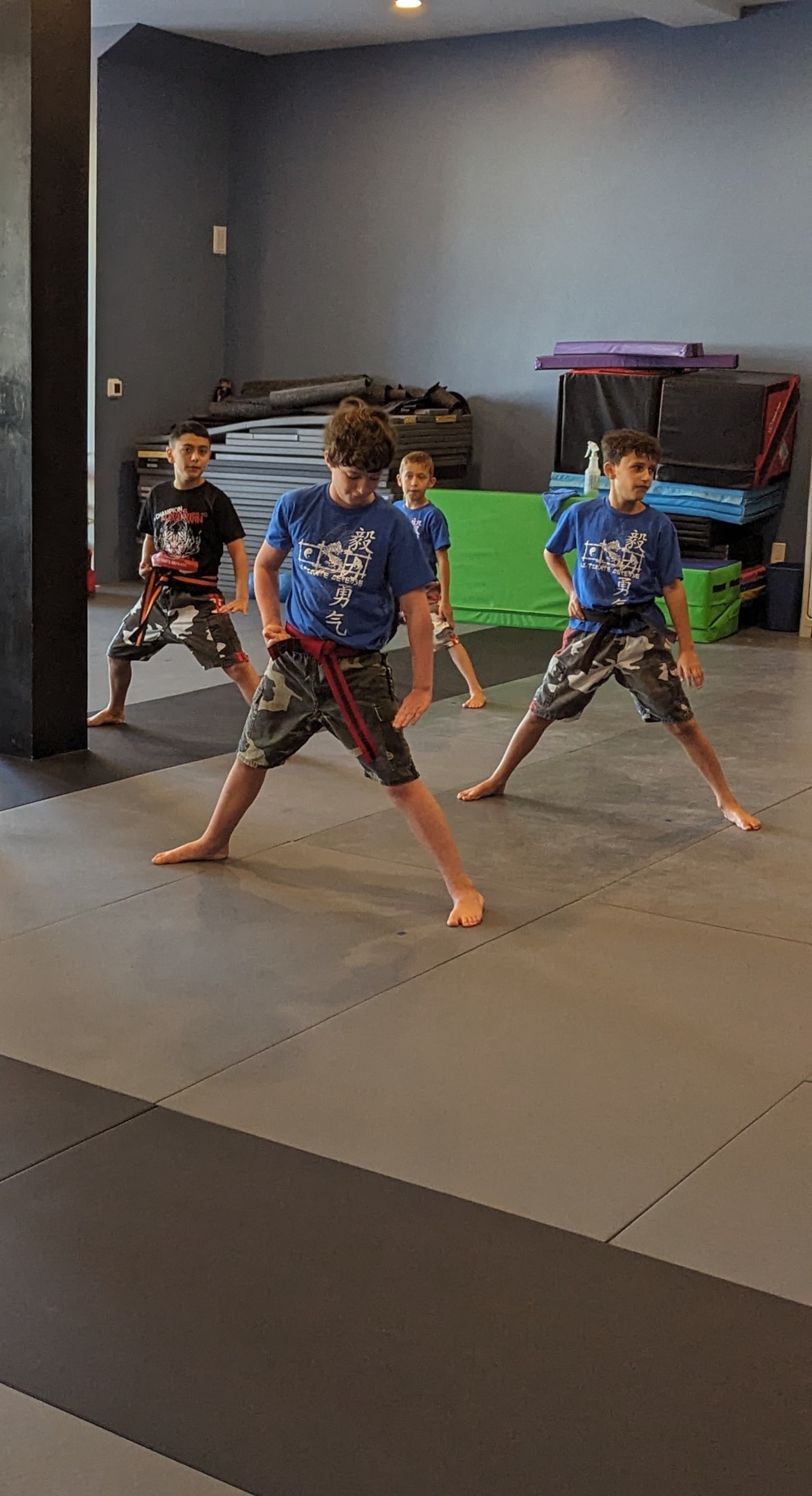 The journey to a black belt involves rigorous training, learning self-defense skills, improving physical fitness, and developing mental resilience.