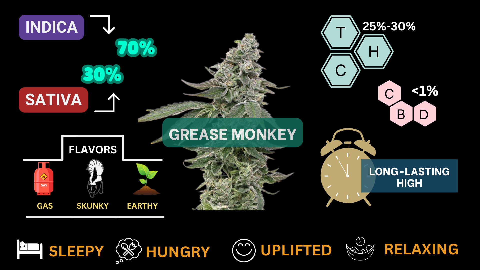 visual infographic of the marijuana /cannabis strain, grease monkey. with thc, cbd components, indica to sativa ratio, flavor profile and main cannabis effects
