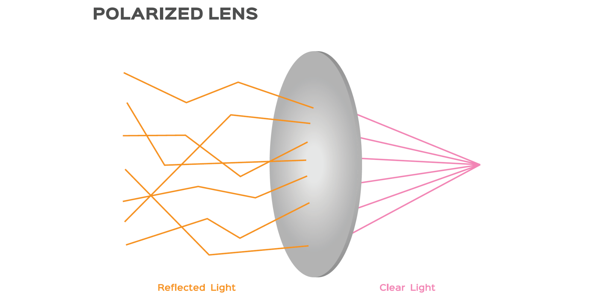 The science of Polarized Lens
