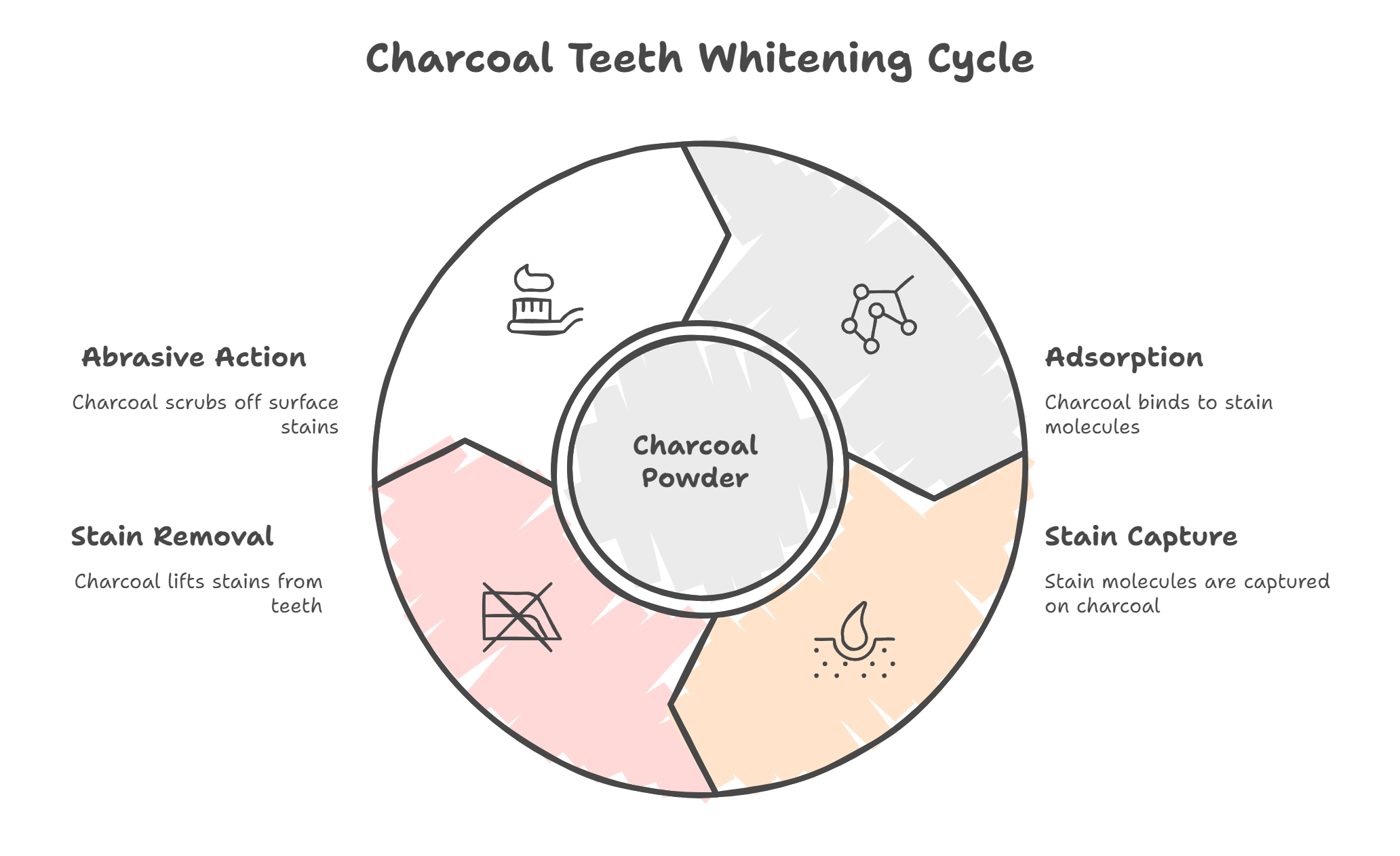 How Does Charcoal Powder Whiten Teeth?