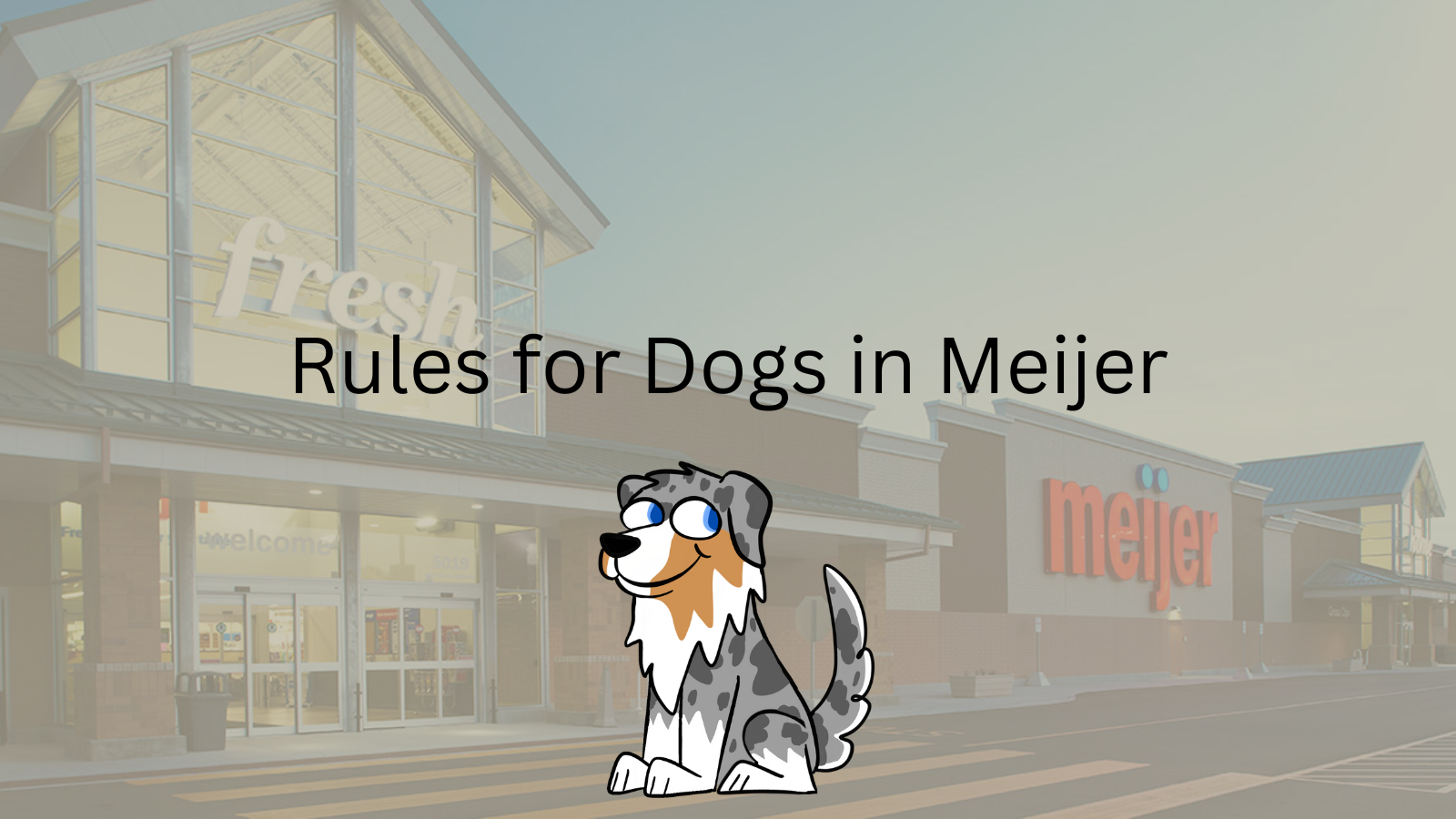 Image Text: "Rules for Dogs in Meijer"
