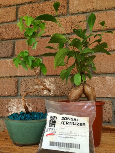 trace elements, bonsai professionals, fertilizer pellets,solid fertilizer