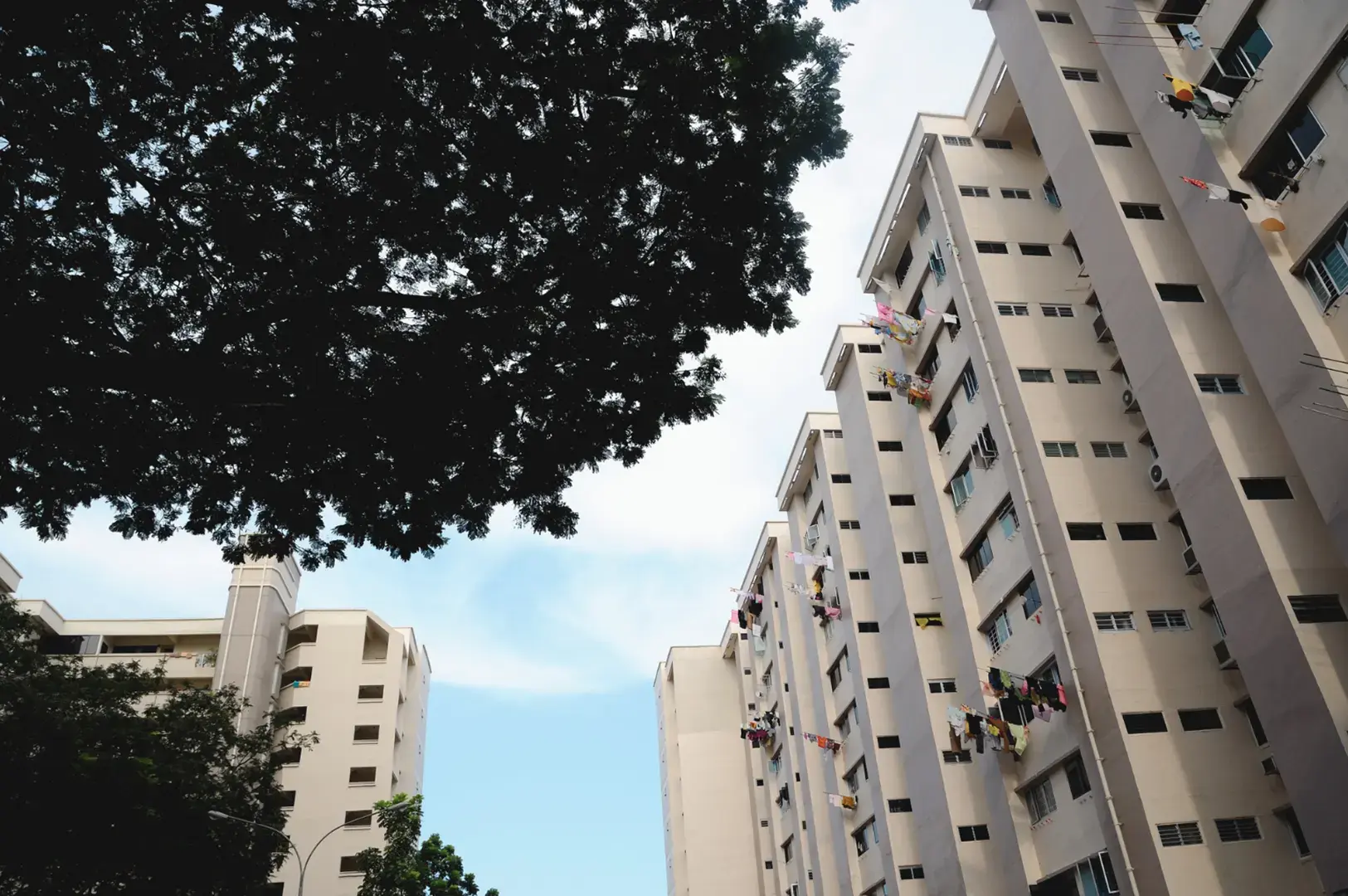 Tall apartment buildings with laundry hanging from balconies under a bright sky, with a large tree in the foreground.