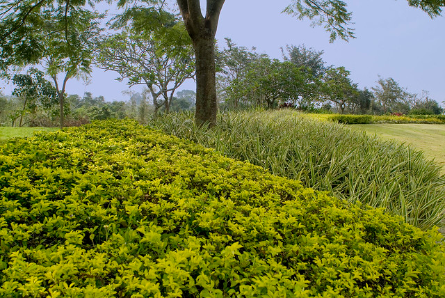 The enclaves of Vista Alabang are green communities