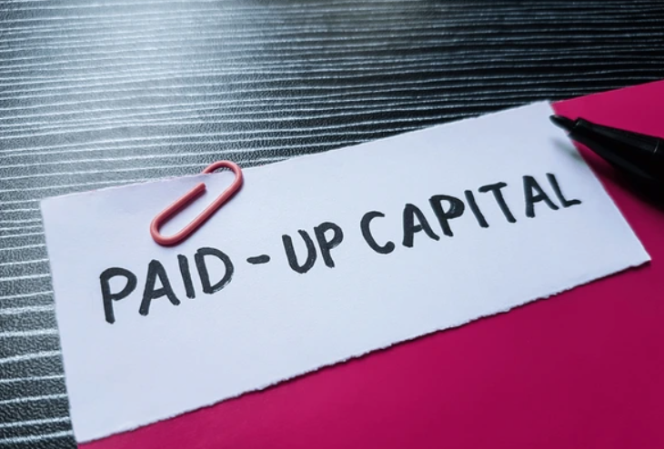 Choosing the Right Business Structure in Malaysia 3 paid up capital