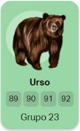 urso no jogo do bicho