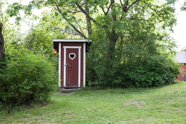 outhouse, country, dry toilet