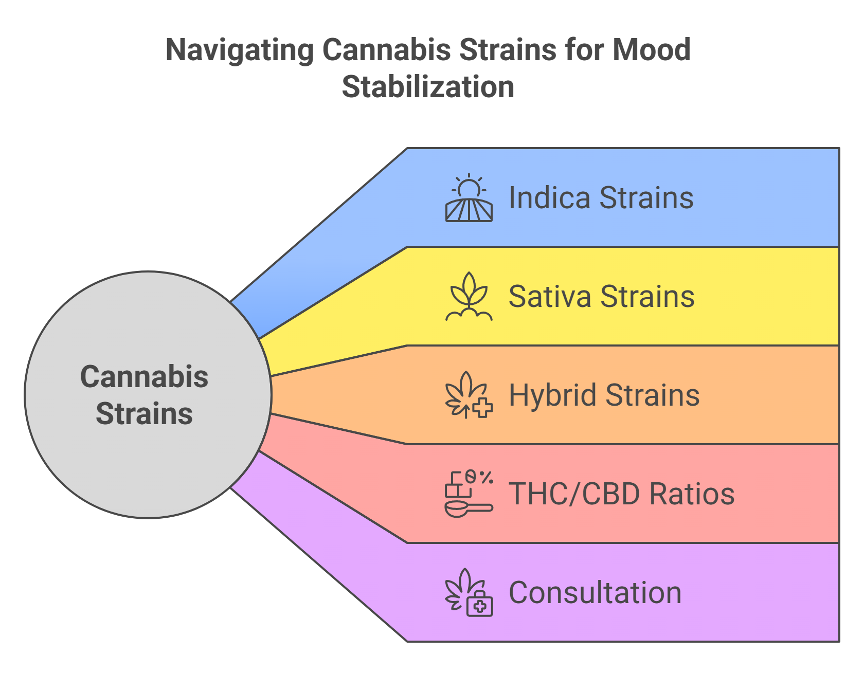 The Role of CBD in Mood Regulation