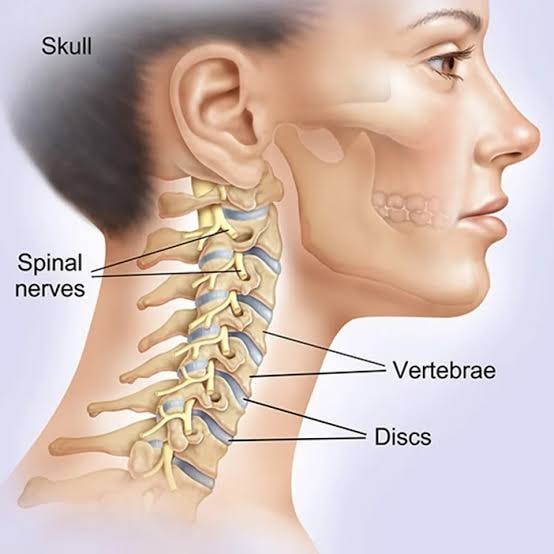 Cervical Spine