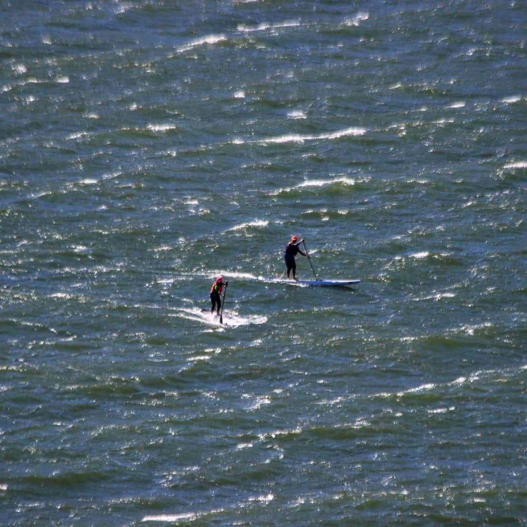 paddle boards in choppy conditions