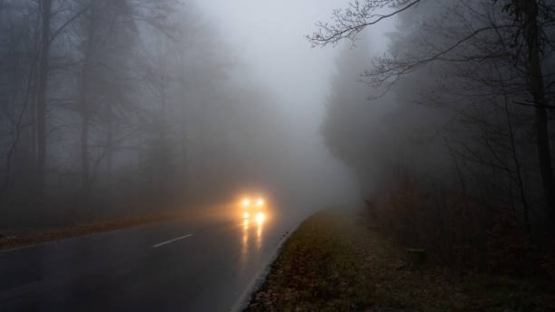 Fog lights of a car working on a foggy road. 