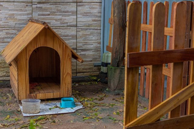 Wooden Dog House