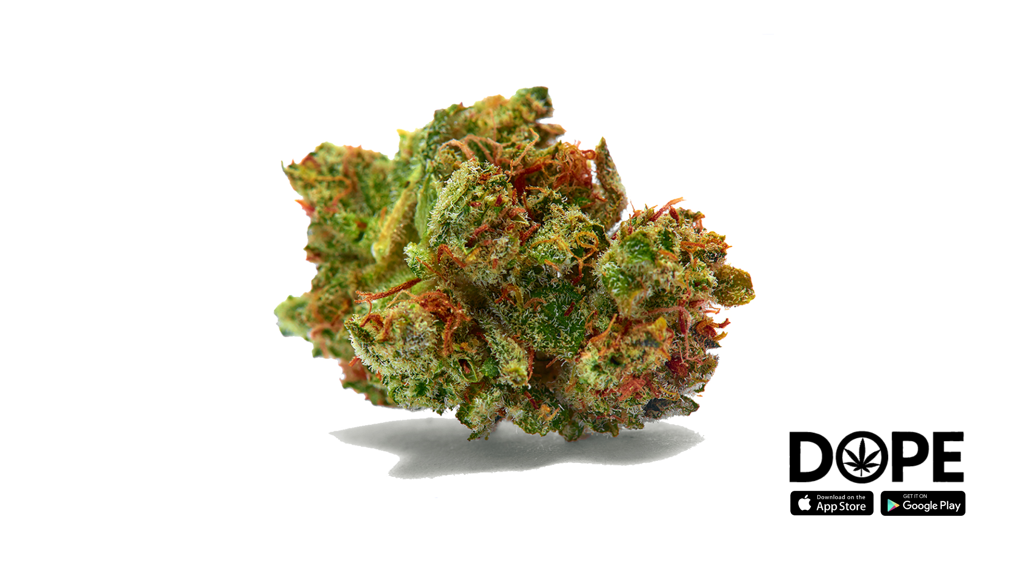 Sour Diesel cannabis strain displayed in a natural setting, representing its potent effects.