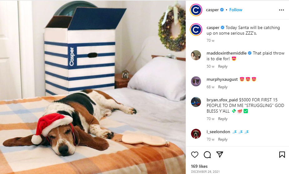A dog sleeping with a christmas cap as example of user generatewd content in video marketing 