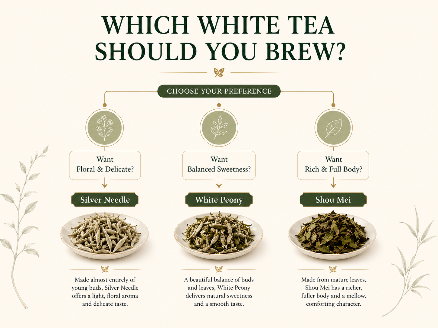 WHICH WHITE TEA SHOULD YOU BREW?