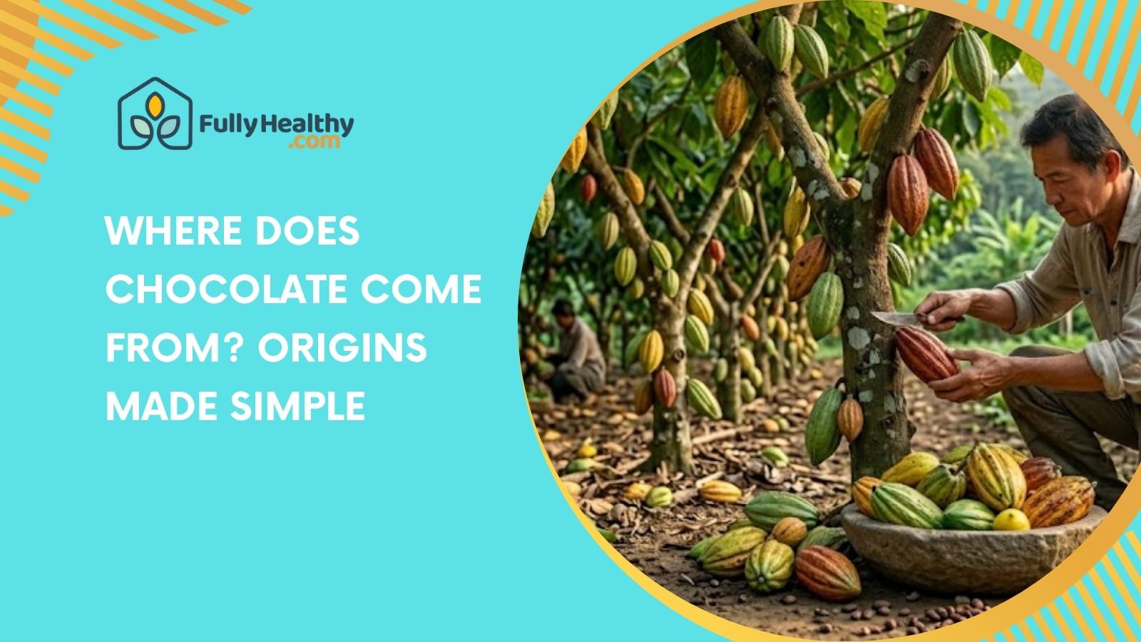 Where Does Chocolate Come From? Origins Made Simple