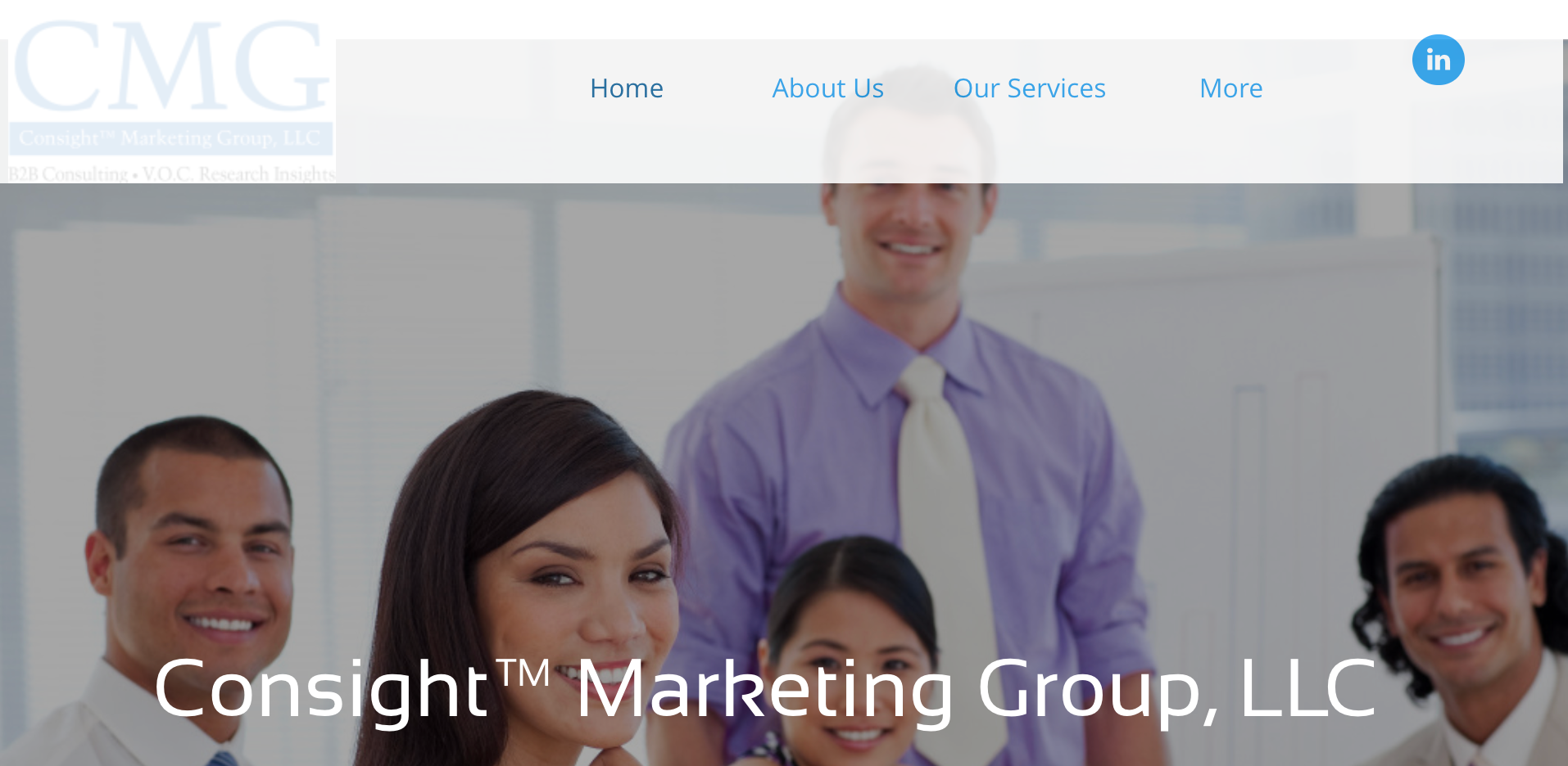 Consight Marketing Group LLC market research company