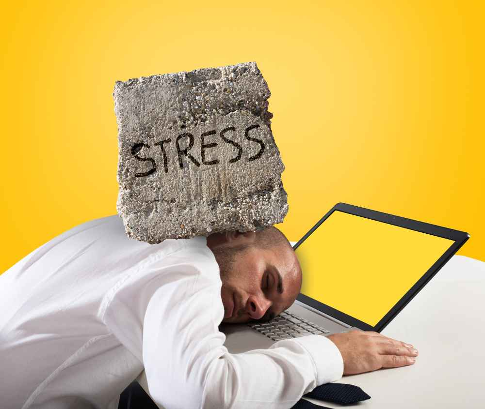 8600-313 Understanding Stress Management in the Workplace