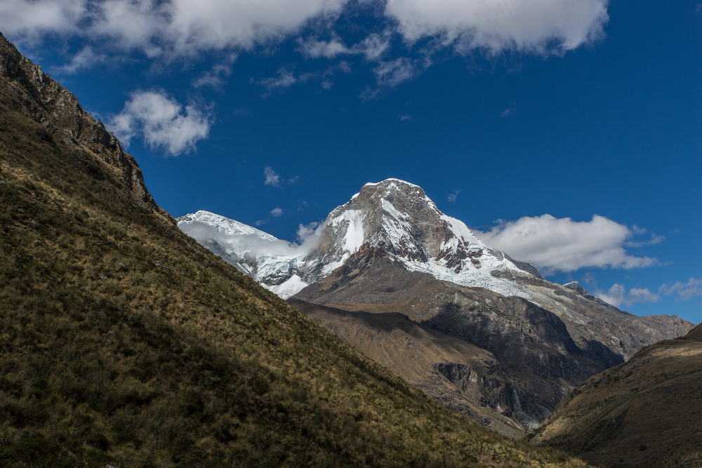 A maca peruana é um tubérculo (raiz subterrânea) cultivado na região da Cordilheira dos Andes, no Peru. Fonte da imagem: Freepik.