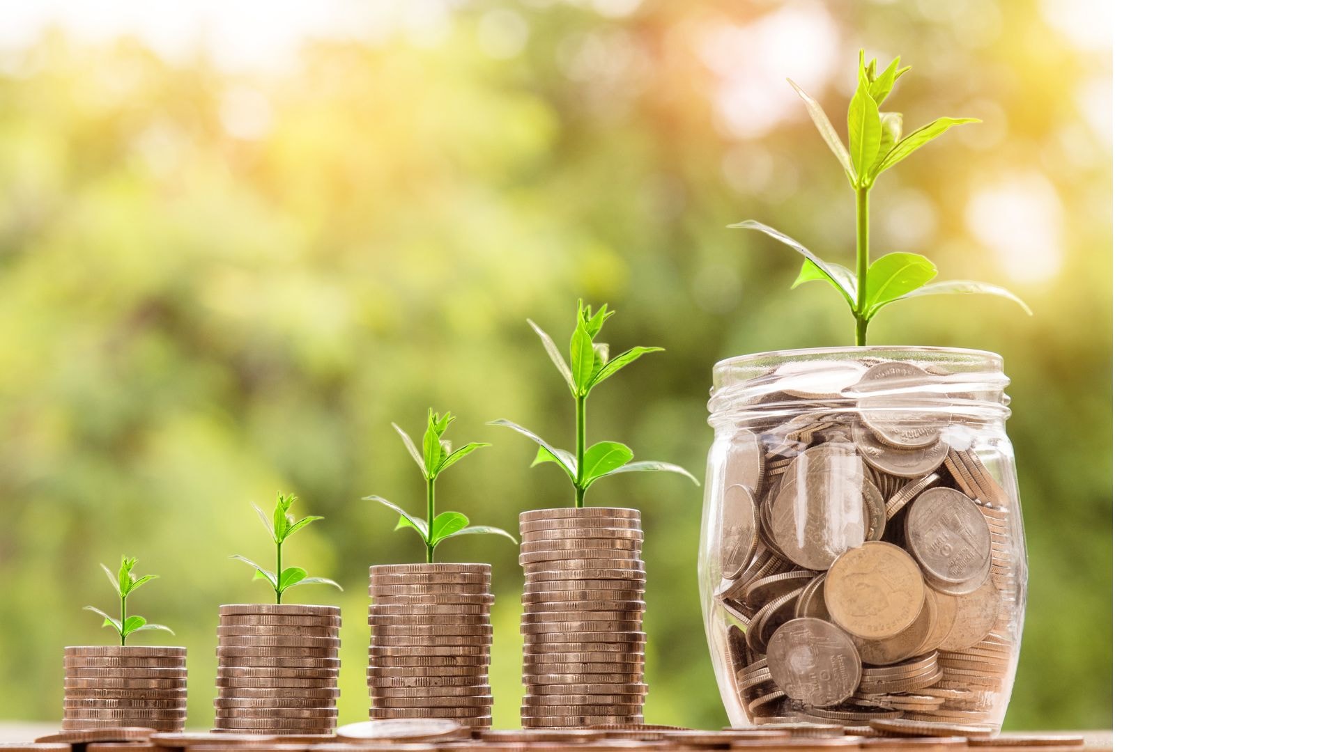 Cause-Based Fundraising