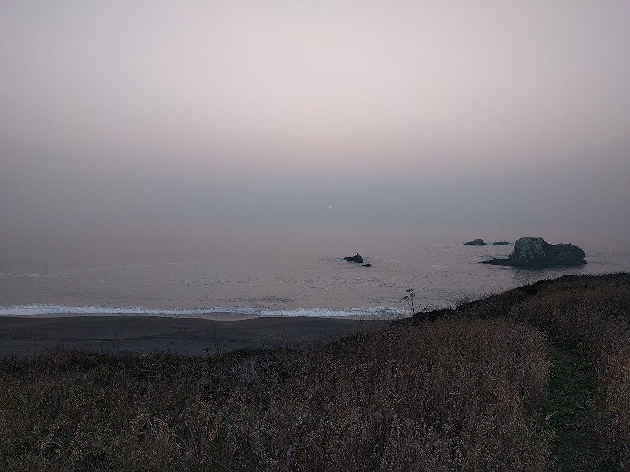 beach, fog