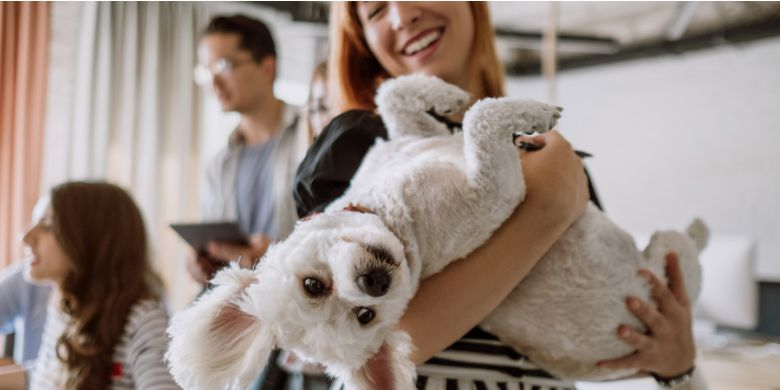 Pet-Friendly Policies and Amenities