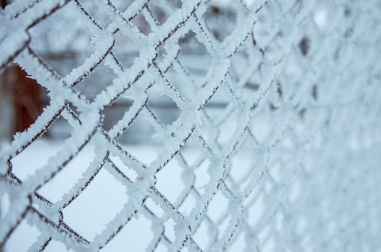 siatka w mrozie